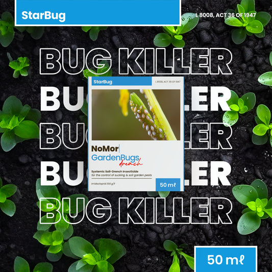 NoMor GardenBugs Drench with StarBug