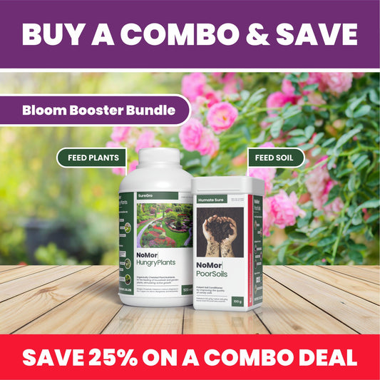 Bloom Booster Bundle