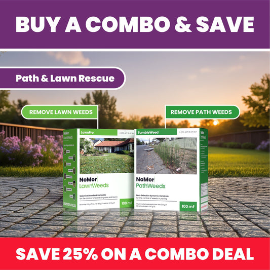 Path & Lawn Rescue