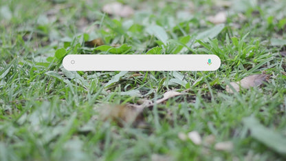 NoMor LawnWeeds with LawnPro